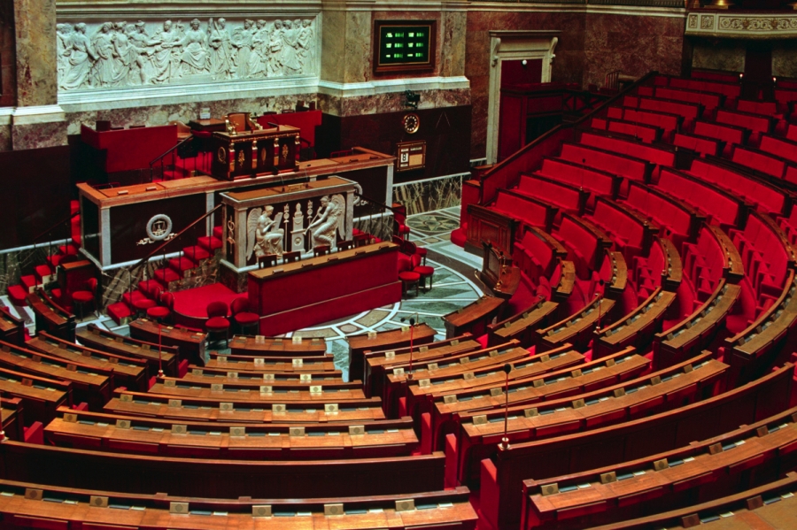 #Plaidoyer - Loi immigration - Communiqué de presse