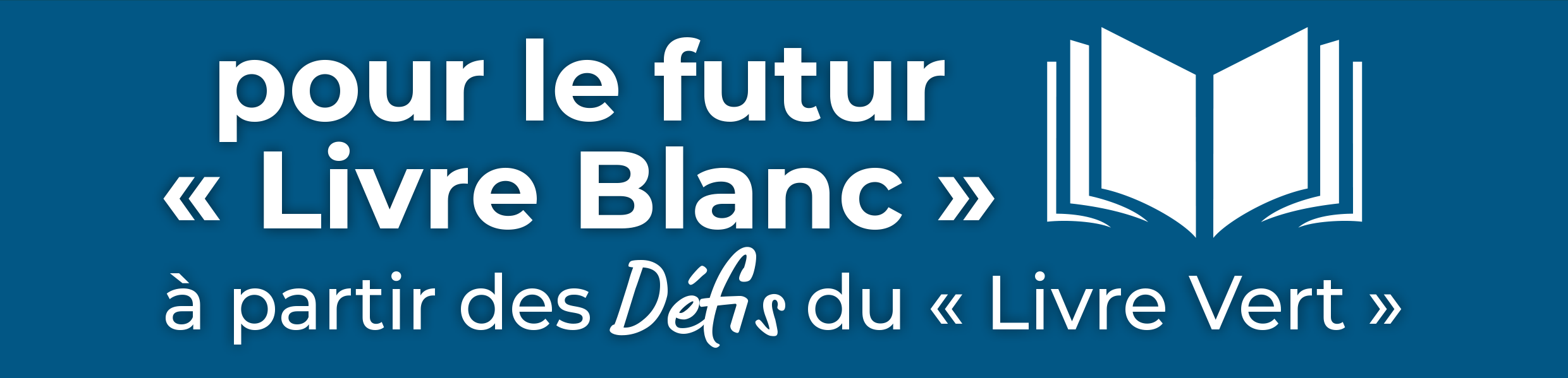 Pour le futur « Livre Blanc» à partir des Défis du « Livre Vert